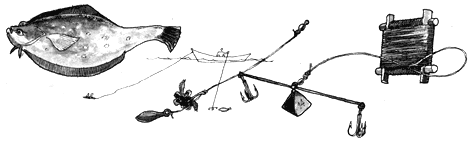 Saltwater Fishing Tips and Techniques Image